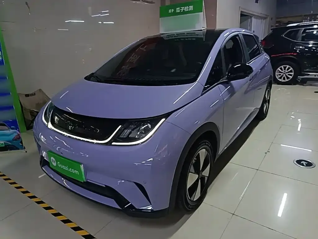 BYD Dolphin 2024