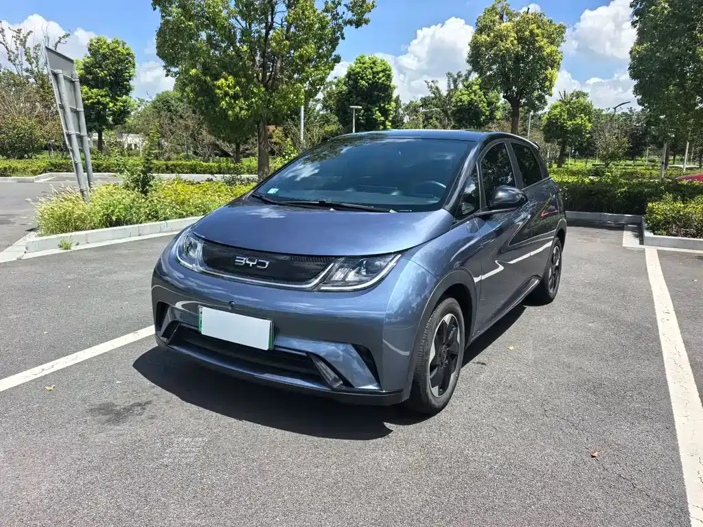 BYD Dolphin 2025