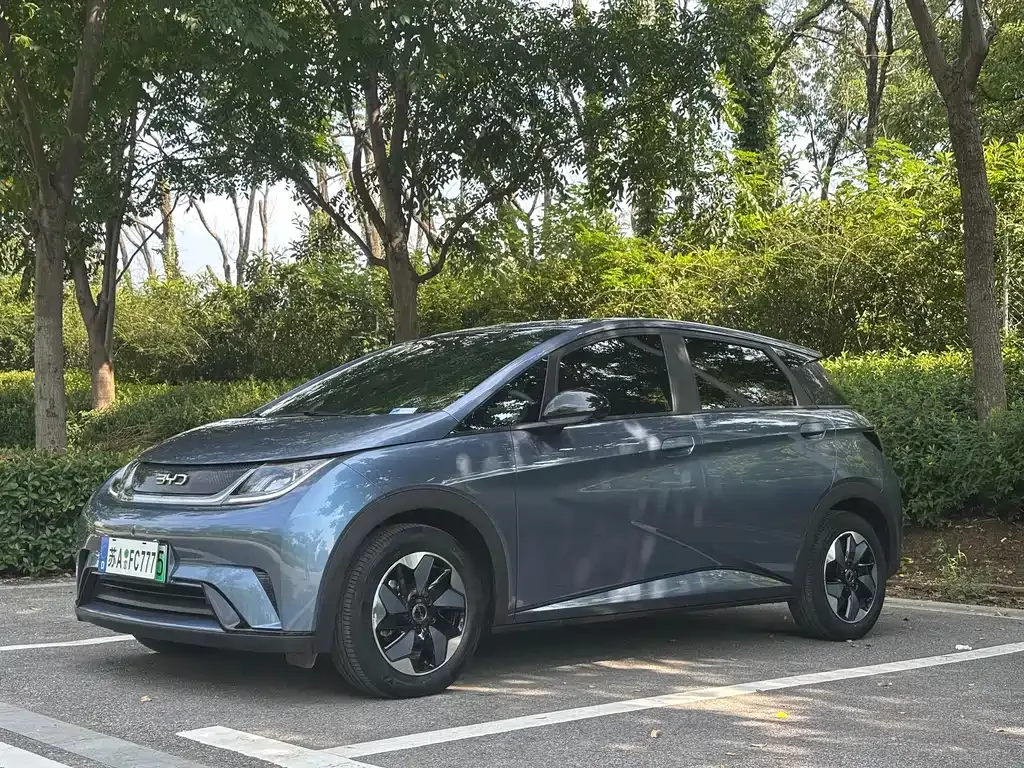 BYD Dolphin 2024