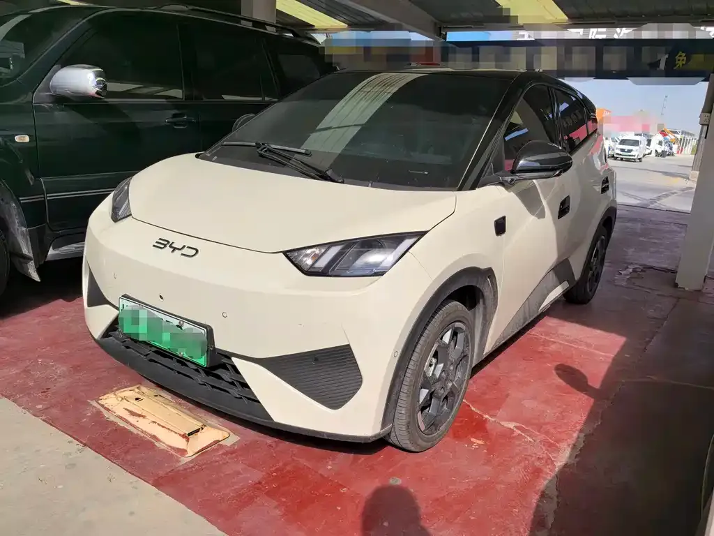 BYD Seagull 2025