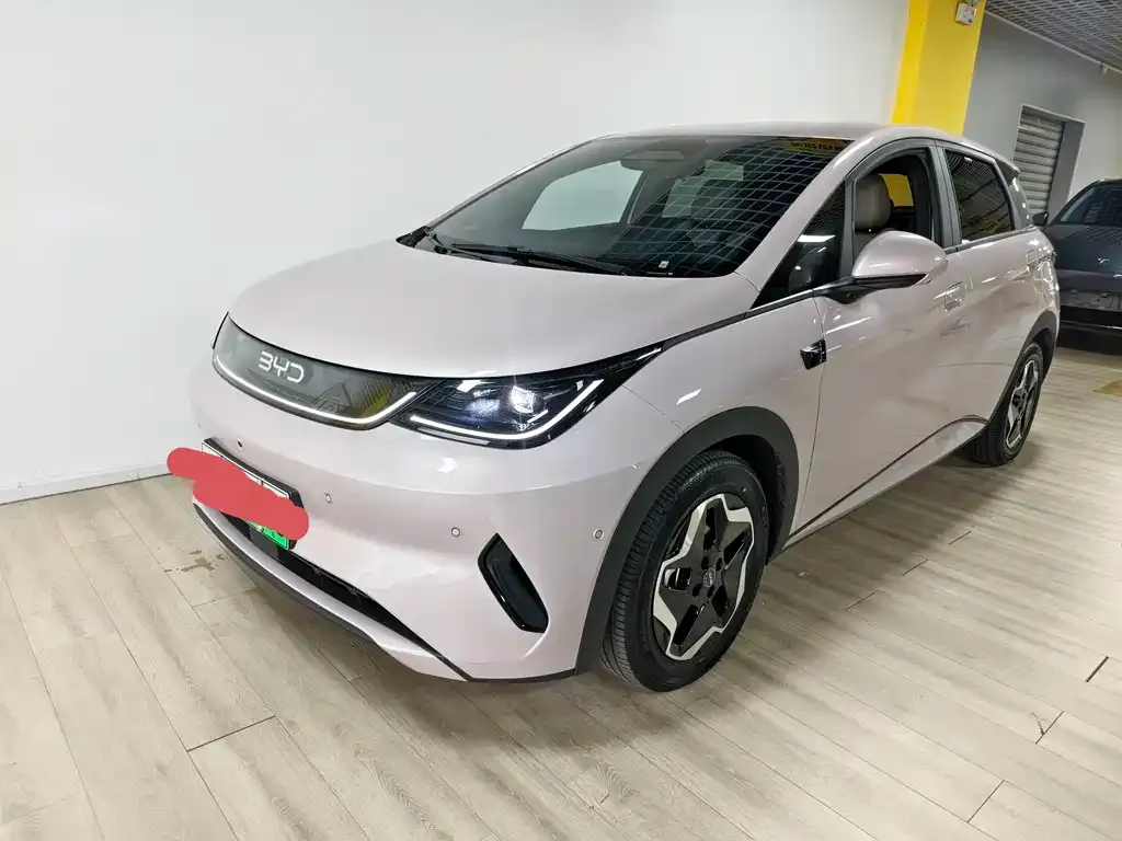 BYD Dolphin 2025