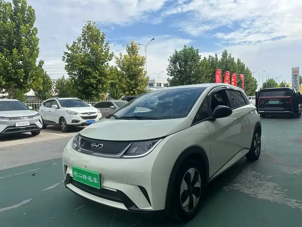 BYD Dolphin 2025