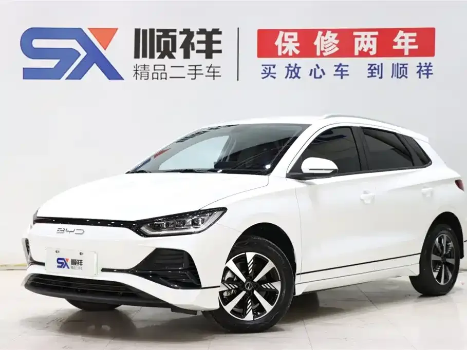 BYD e2 2024
