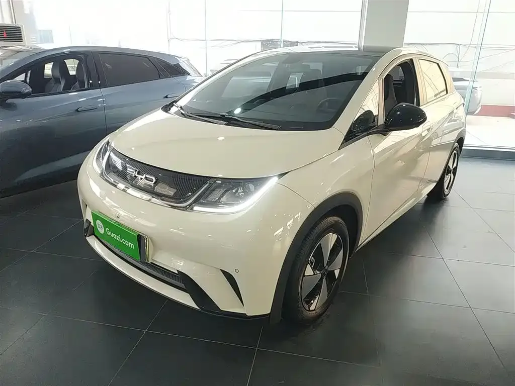 BYD Dolphin 2024