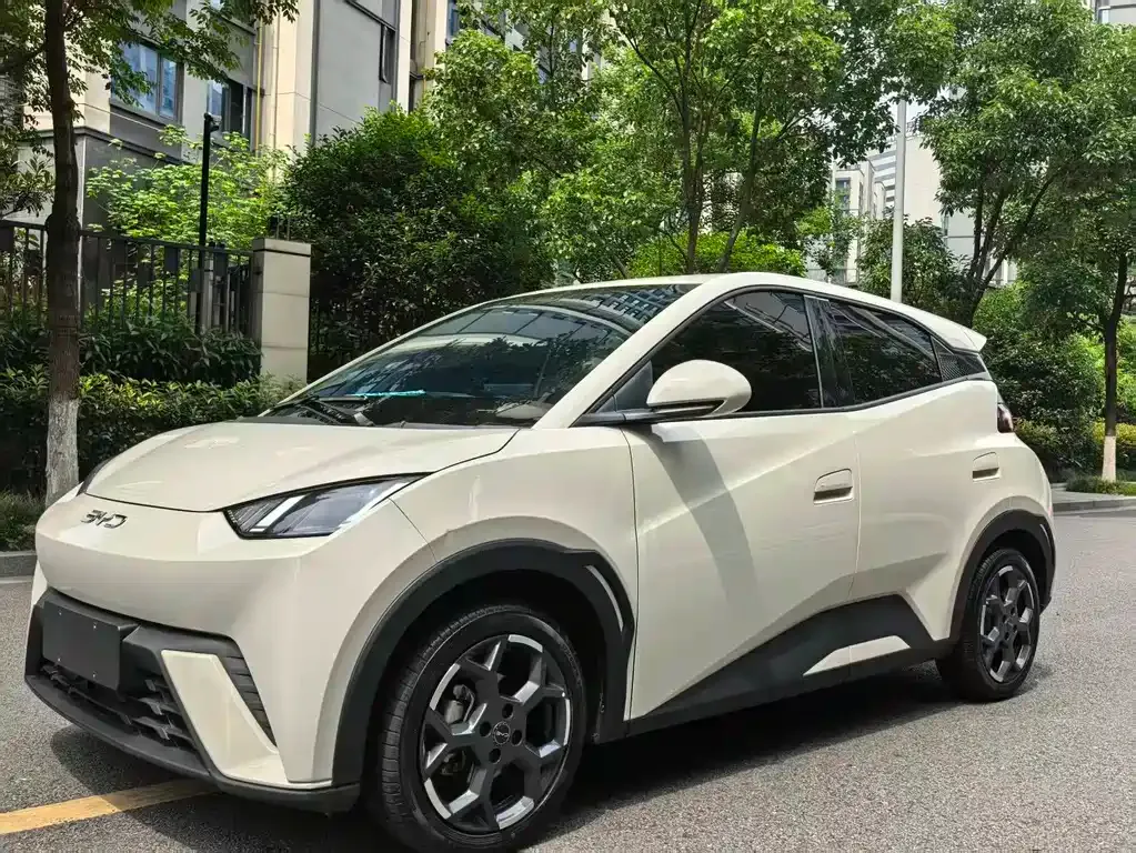 BYD Seagull 2025