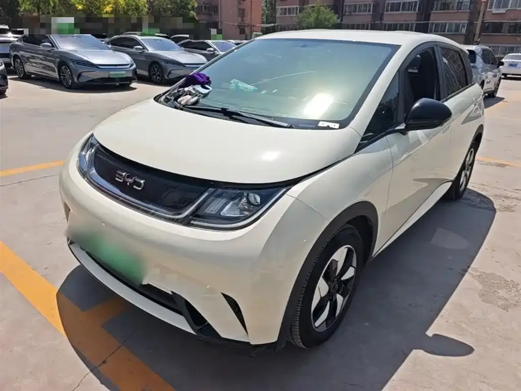 BYD Dolphin 2024