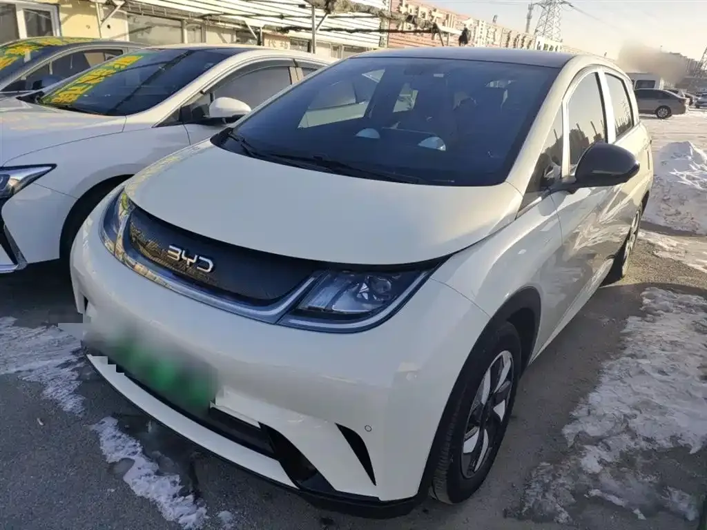 BYD Dolphin 2024