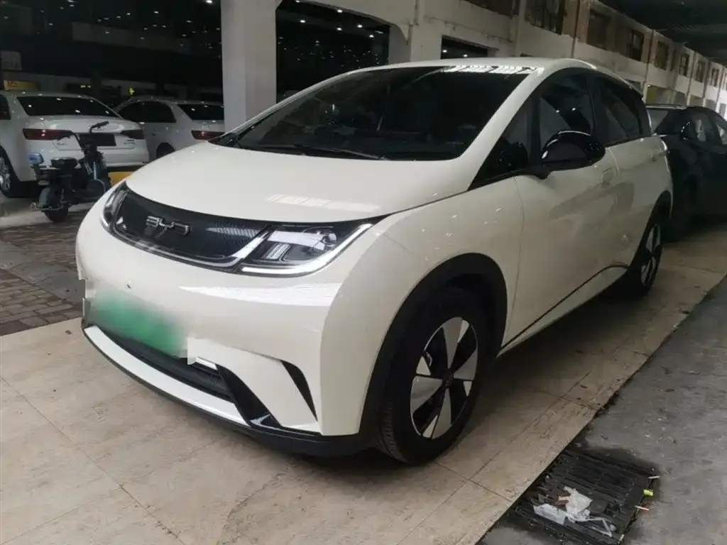 BYD Dolphin 2024
