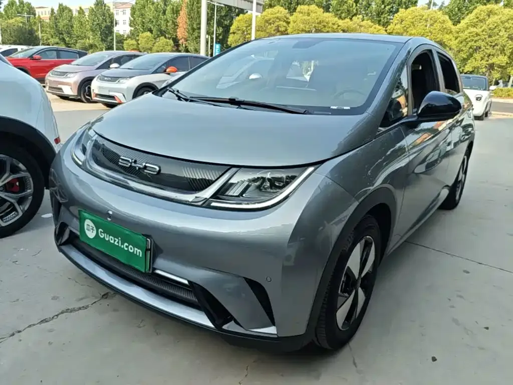 BYD Dolphin 2024