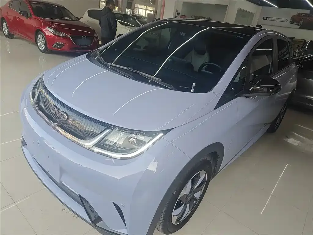 BYD Dolphin 2024