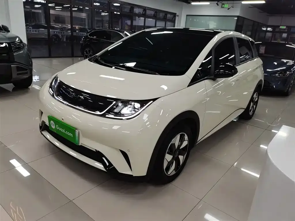 BYD Dolphin 2024