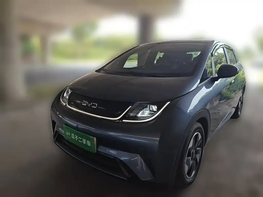 BYD Dolphin 2024
