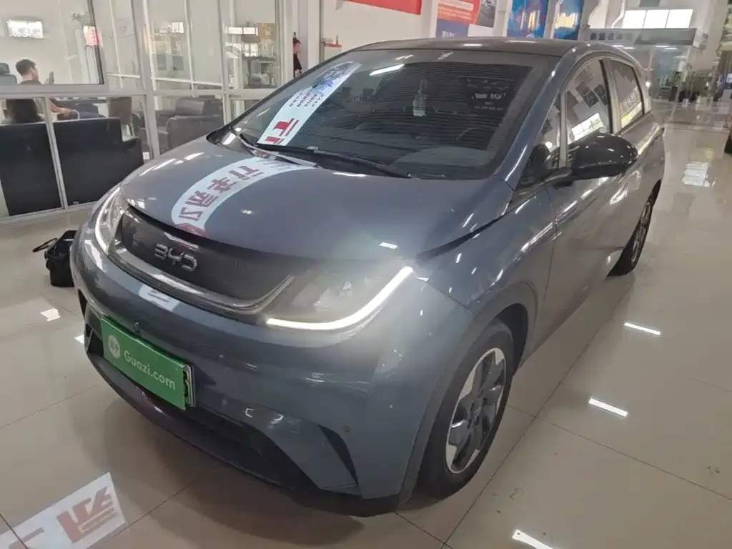 BYD Dolphin 2024
