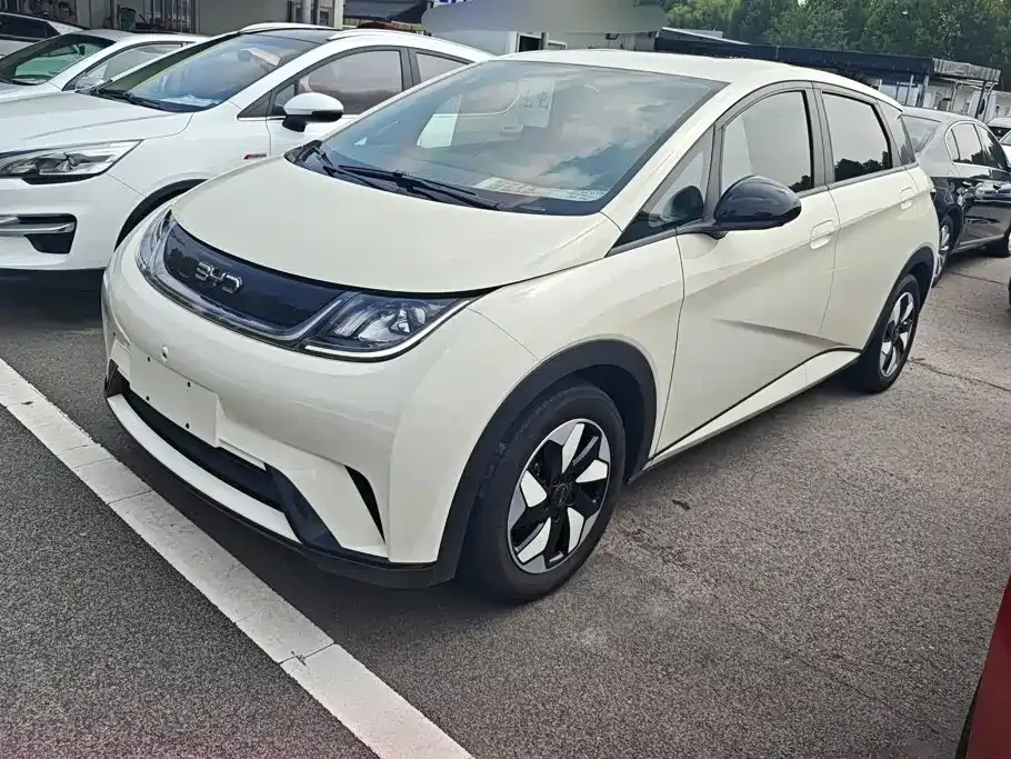 BYD Dolphin 2024
