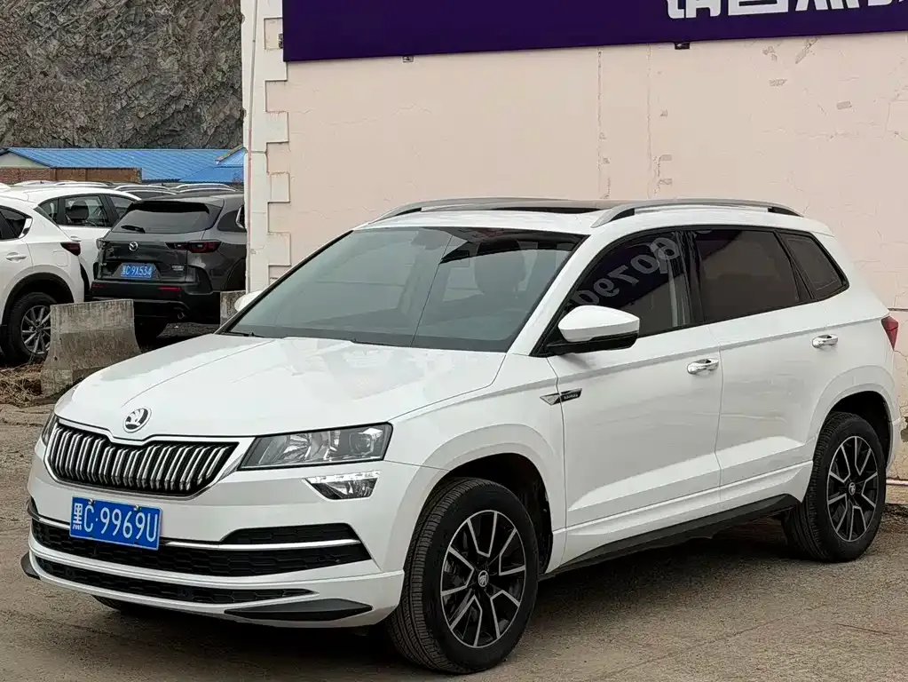 Skoda Karoq 2024